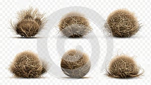 Weed ball, tumbleweed isolated on transparent background. Modern realistic set of western desert dead plants, rolling