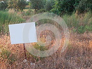 Weed-covered field with white blank metallic sign. Mock-up for sale announcement with copy space