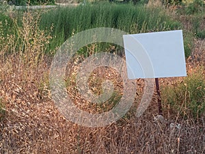 Weed-covered field with white blank metallic sign. Mock-up for sale announcement with copy space