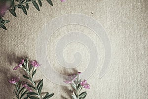 Weed flowers in vintage color style on mulberry paper texture