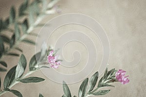 Weed flowers in vintage color style on mulberry paper texture