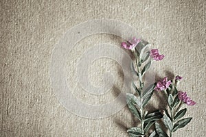 Weed flowers in vintage color style on mulberry paper texture