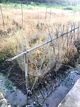 Weed killer field