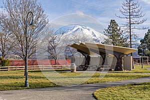 Weed rest area with a view near Mt. Shasta California