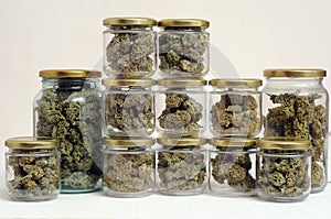 Weed stuff. Cannabis drying and curing. Marijuana buds in glass jars