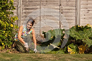 Weeding the Vegetable Patch