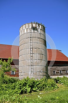 Weeds and foliage grow around an old silo and barn