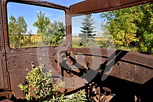 Weeds growing inside an old rustycar