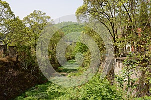 Weedy riverway before abandoned 1970s` workshops in sunny spring