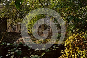 Weedy roof of deserted building in 1970s factory