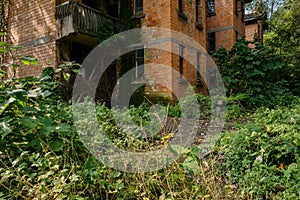 Weedy  trail before abandoned 1960s` red brick dwelling buildings