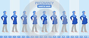 Week by week pregnancy stages of pregnant muslim woman with islamic Clothing