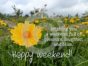 Weekend inspirational quote - Wishing you a weekend full of pleasure, laughter and bliss. Happy weekend. With yellow flower. photo