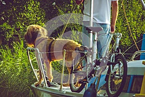 Weekend scene with a man and his dog on a boat