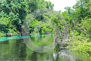 Weeki Wachee Springs River