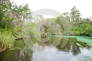 Weeki Wachee Springs State Park