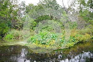 Weeki Wachee Springs State Park entrance