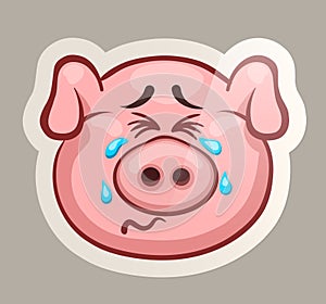 Weep pig sticker