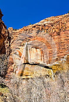 Weeping Rock Waterfall in Zion National Park