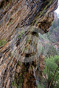 Weeping Rock, Zion National Park, Utah, USA