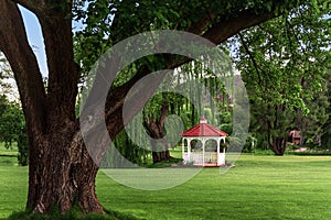 Weeping willow and gazebo with red roof on a green lawn in Sedona, AZ, USA