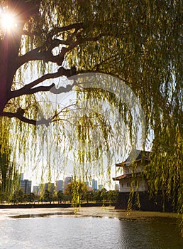 Weeping willow over the moat with the Sakuradayagura on the background.Tokyo Imperial Palace. Japan