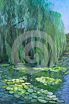 Weeping Willow tree and Water Lilies
