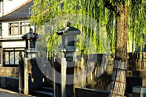 Weeping willow trees and bridge, Kinosaki Japan.