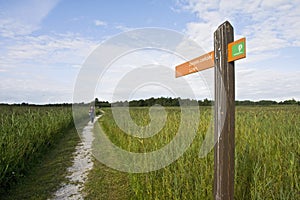 Weerribben, Netherlands