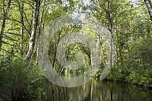 Weerribben, Overijssel, Netherlands