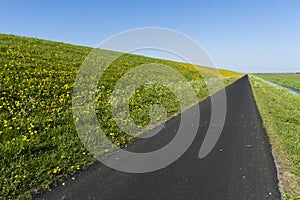 Weg op Schiermonnikoog, Road at Schiermonnikoog