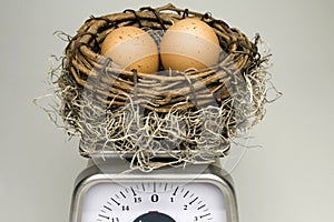 Weighing Nest Egg