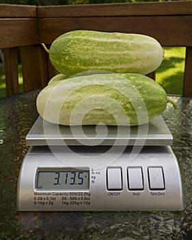 Weighing Produce For At The Farmers Market