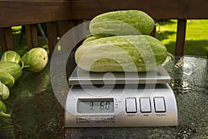 Weighing Produce At A Roadside Stand