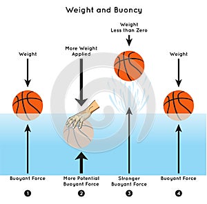 Weight and Buoyancy Infographic Diagram experiment