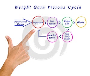 Weight Gain Vicious Cycle