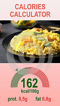 Weight loss concept. Calories calculator app with image of tasty dish and its caloric content
