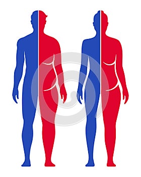 Weight loss conceptual vector illustration. Man and woman fit and fat body shape comparison.