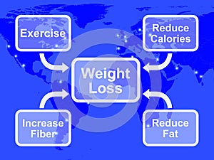 Weight Loss Diagram Showing Fiber Exercise Fat And Calories