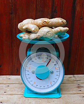 Weight measurement of fresh ginger Zingiber officinale on the scale