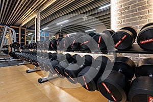 Weight Room with Racks of Dumbbells