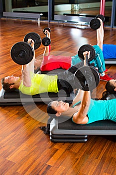 Weight training in the gym with dumbbells