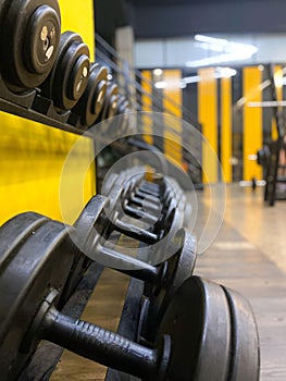 Strength in Order: The Power of Discipline