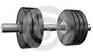 Weightlifting weights