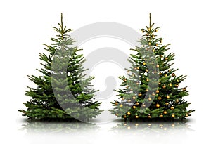 Weihnachtsbaum photo