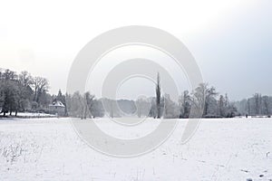 Weimar ilmpark in winter landscape view
