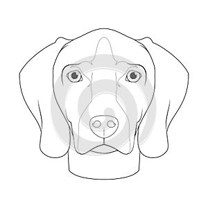 Weimaraner dog easy coloring cartoon vector illustration. Isolated on white background