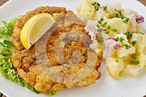 Weiner schnitzel with potato salad photo