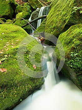 Weir in mountain stream. Colorful leaves on stones into water. Mossy boulders.