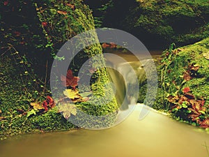 Weir in mountain stream. Colorful leaves on stones into water. Mossy boulders.